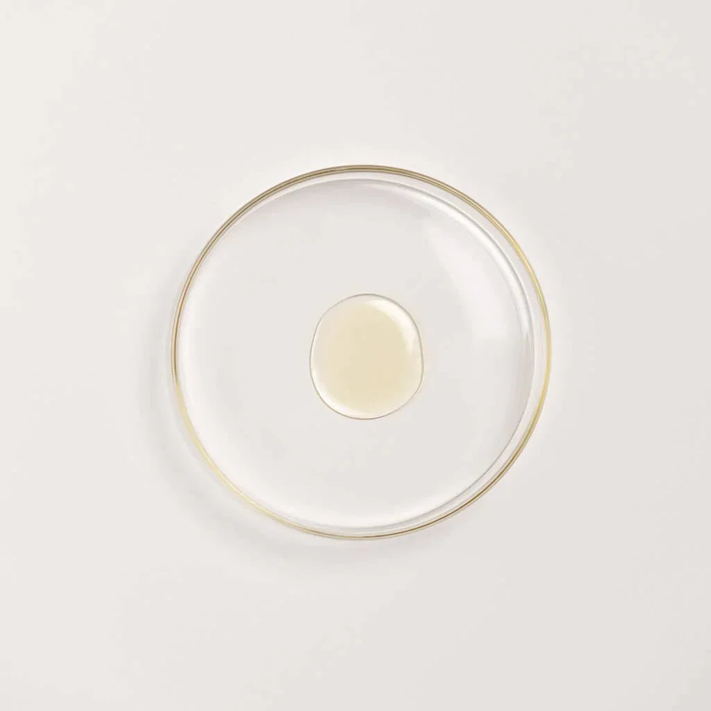 Premium Bestseller Bundle - Bestseller Bundle Dry + Day & Night Duo