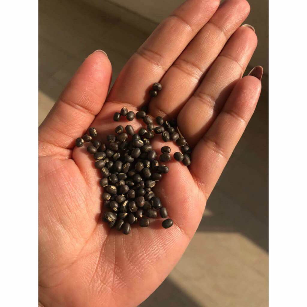 Balaayah Black Gram Booster Gift Set